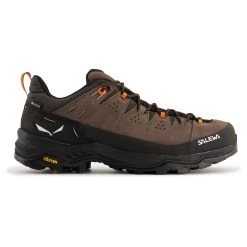 Salewa - Alp Trainer 2 GTX - Chaussures Multisports